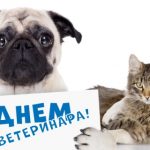s-dnem-veterinara-2020-veselye-otkrytki-i-pozdravlenija-7098465