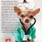 s-dnem-veterinara-2020-veselye-otkrytki-i-pozdravlenija-745a5e5