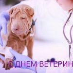 s-dnem-veterinara-2020-veselye-otkrytki-i-pozdravlenija-9f1b1d8