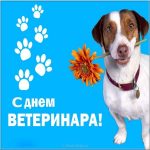 s-dnem-veterinara-2020-veselye-otkrytki-i-pozdravlenija-a2f5895