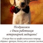 s-dnem-veterinara-2020-veselye-otkrytki-i-pozdravlenija-ad8b391