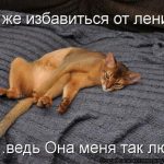 vsemirnyj-den-leni-prikolnye-kartinki-i-neobychnye-sovety-24bb650