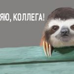 vsemirnyj-den-leni-prikolnye-kartinki-i-neobychnye-sovety-a556311