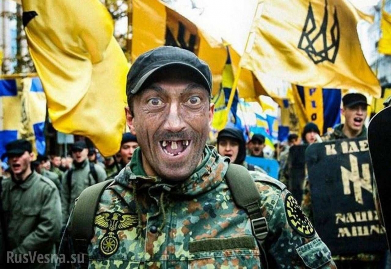 В Раде обвинили Запад в превращение Украины в «антироссию»