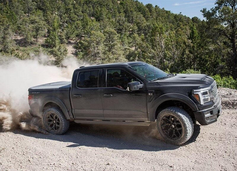 ford-f-150-poluchil-ekstremalnuju-vnedorozhnuju-modifikaciju-ot-shelby-99cc23e.jpg