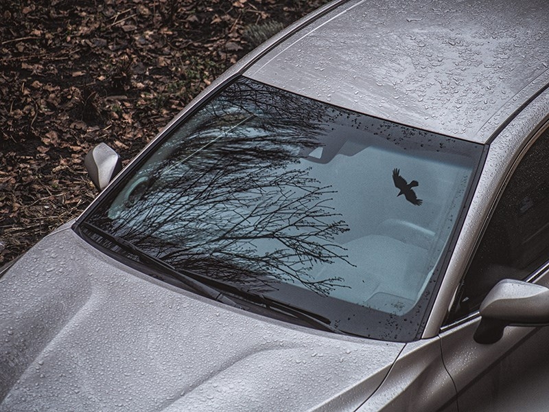 Иностранные номера больше не спасут от штрафа за тонировку