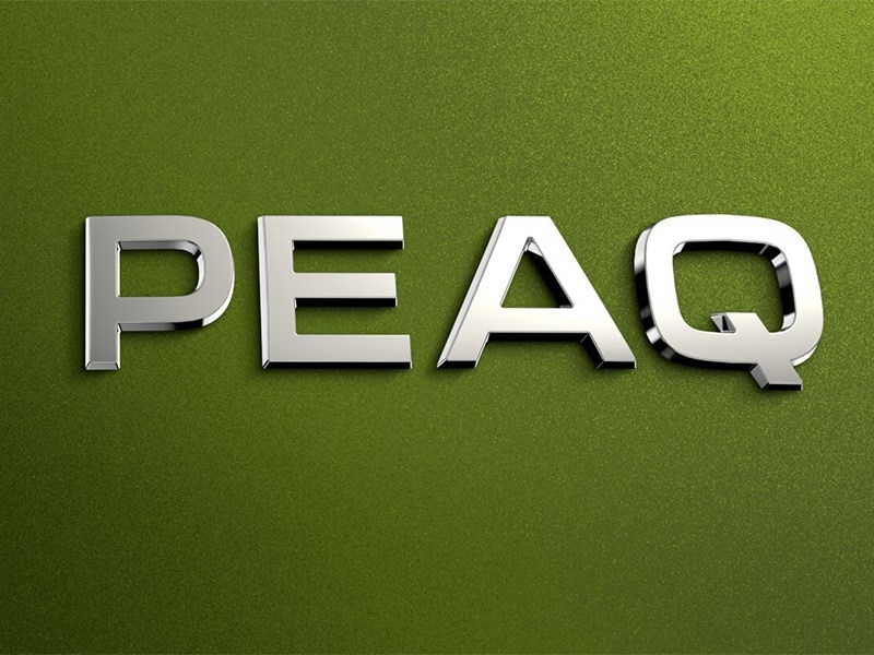 Skoda Peaq станет новым электрическим флагманом марки
